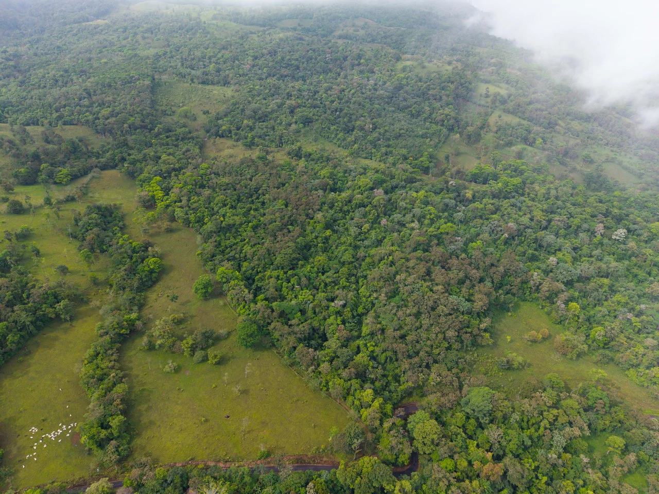 Finca Las Zompopas-Río Celeste: 113-Acre Biodiverse Property in Bijagua, Ideal for Eco-Tourism, Private Retreats, or Sustainable Development - Gallery image 28