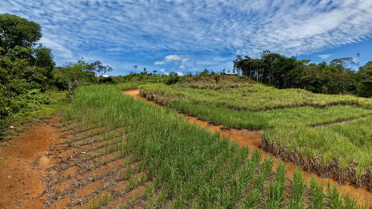 Development Parcel For Sale in Daniel Flores - Gallery image 14