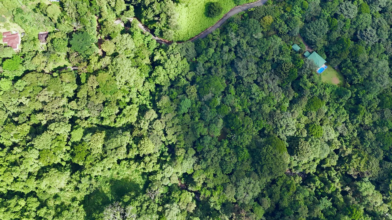 Selva Vista Estate: 5.9 Acres of Wild Beauty - Gallery image 8