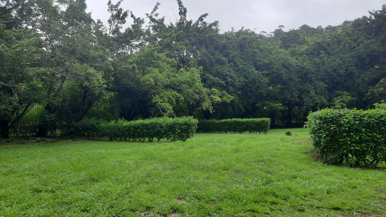 Agricultural Land For Sale in Jacó - Gallery image 7