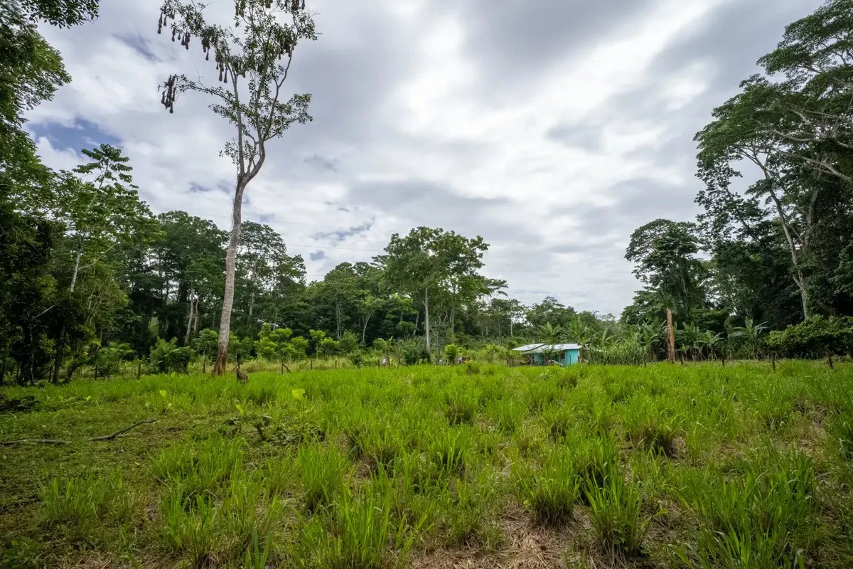 ID 1134: 3960m² Flat Development Lot Near Cahuita, Costa Rica - photo 16