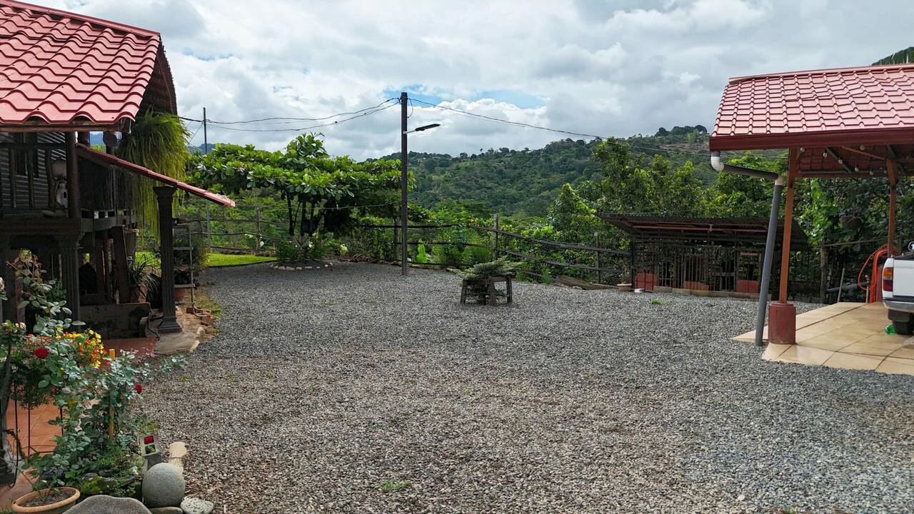 Charming Hardwood Cabin with Fruit Garden Near San Isidro - Gallery image 12
