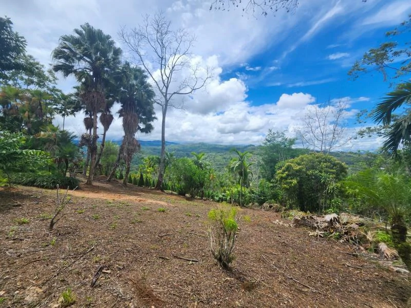 Propiedad en La Bonita Emma-137480: Mountain and Countryside Home Construction Site For Sale in San Isidro del General - Gallery image 12