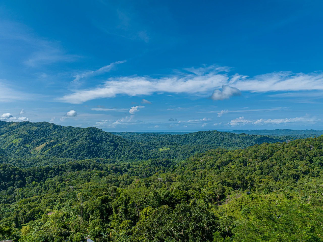 11.25 ACRES- 4 Bedrooms, Two Homes, Panoramic Ocean & Mountain Views With Stream, 30+ Fruit Trees, 40 Minutes to Quepos!!! - Gallery image 9