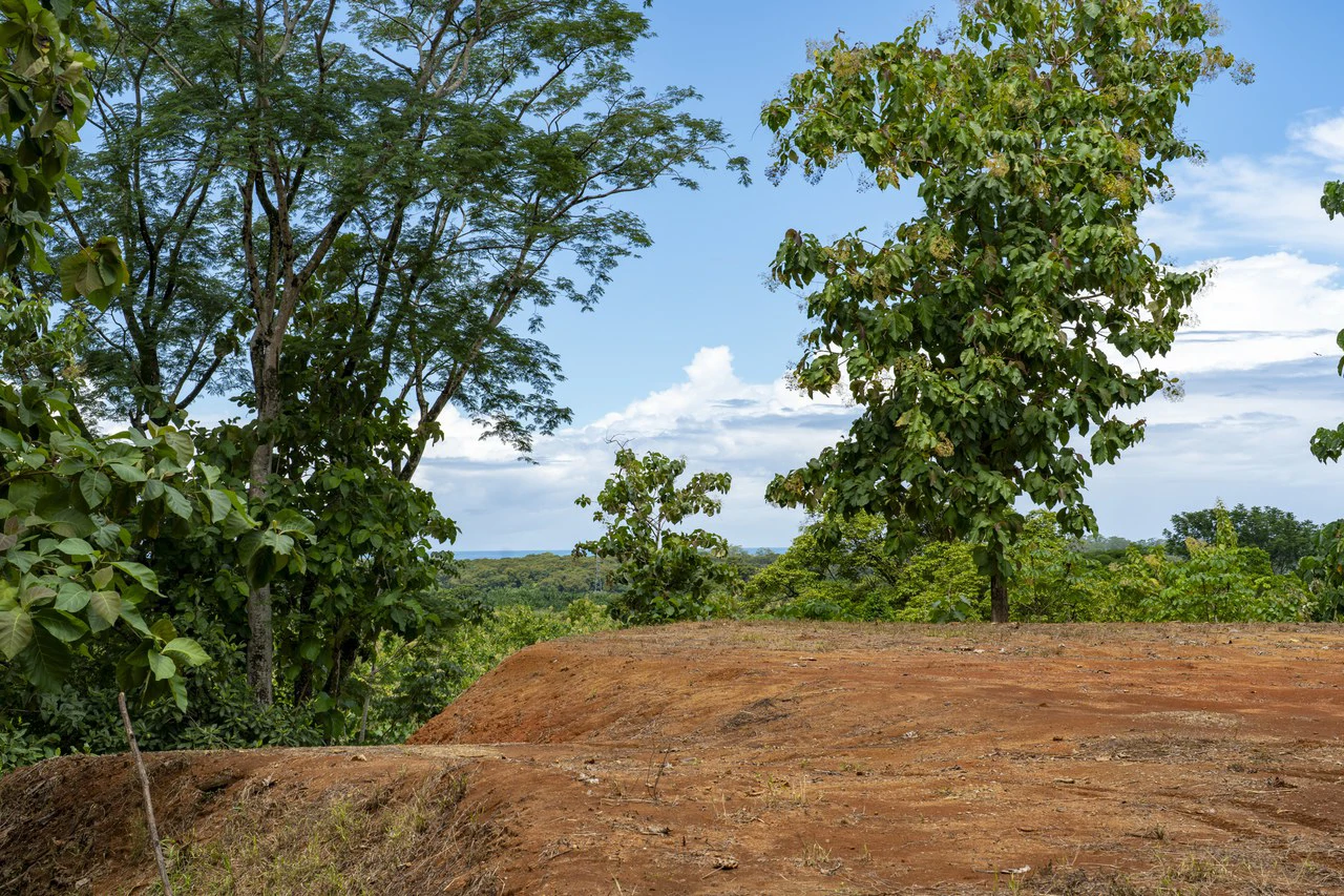 New Gated Development in Matapalo - Ocean View and Flat Land, ready to build! - Gallery image 19