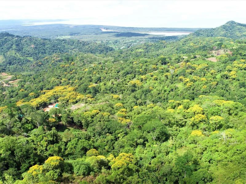 Captivating 3.15-Acre Property: Huge Pricedrop! Firesale Oceanview Lot in Tres Rios - Gallery image 44