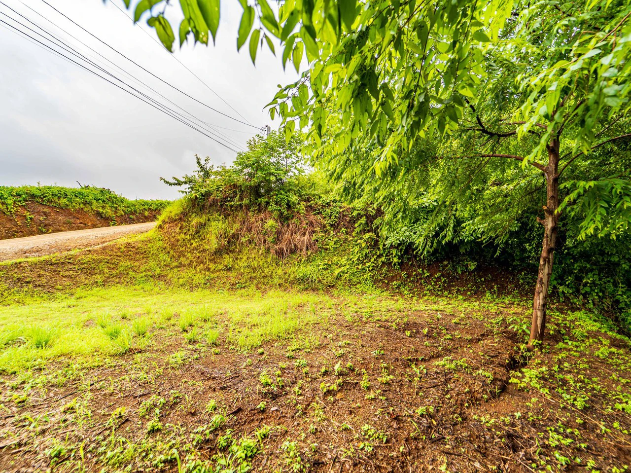Carrillo Ridge Lot -: Partial Sunrise Ocean View lot - Gallery image 10
