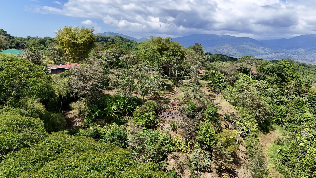 New 1,4 Acre lot in Platanillo – With Legal Water - Gallery image 13