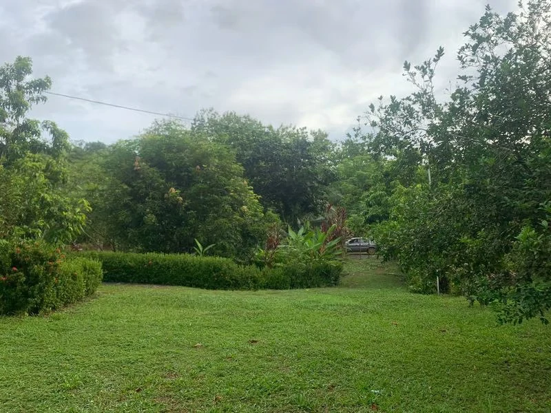 Private Home in Oasis: La Amapola, Puerto Jimenez - Gallery image 18