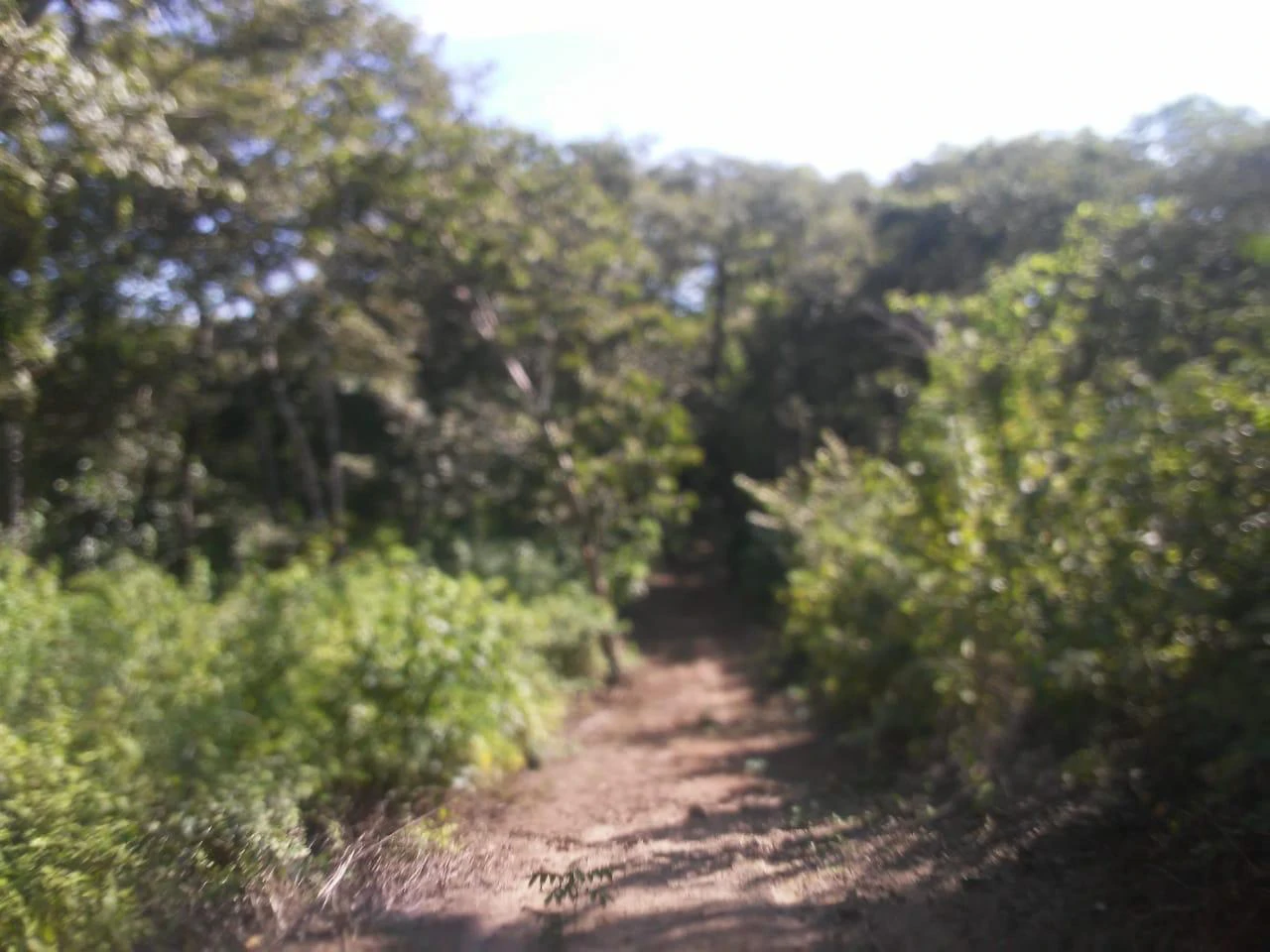 Large commercial property for sale in the Papagayo area, close to the Marina Papagayo or Four Season luxury hotel - Gallery image 6