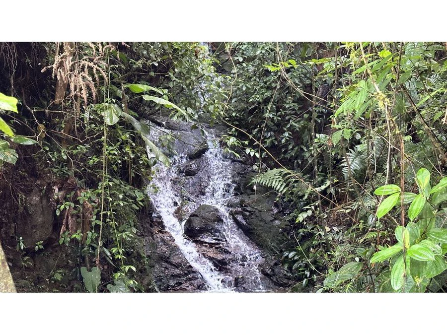 BEAUTIFUL MOUNTAIN VIEW FINCA WITH CABIN IN RIO NUEVO - Gallery image 16