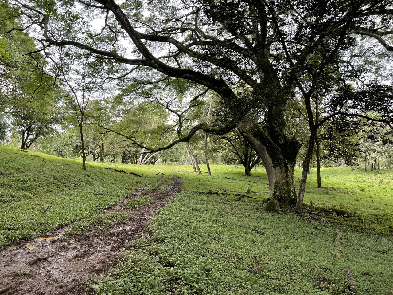 Development land for sale La Garita Alajuela 6.2 hectares