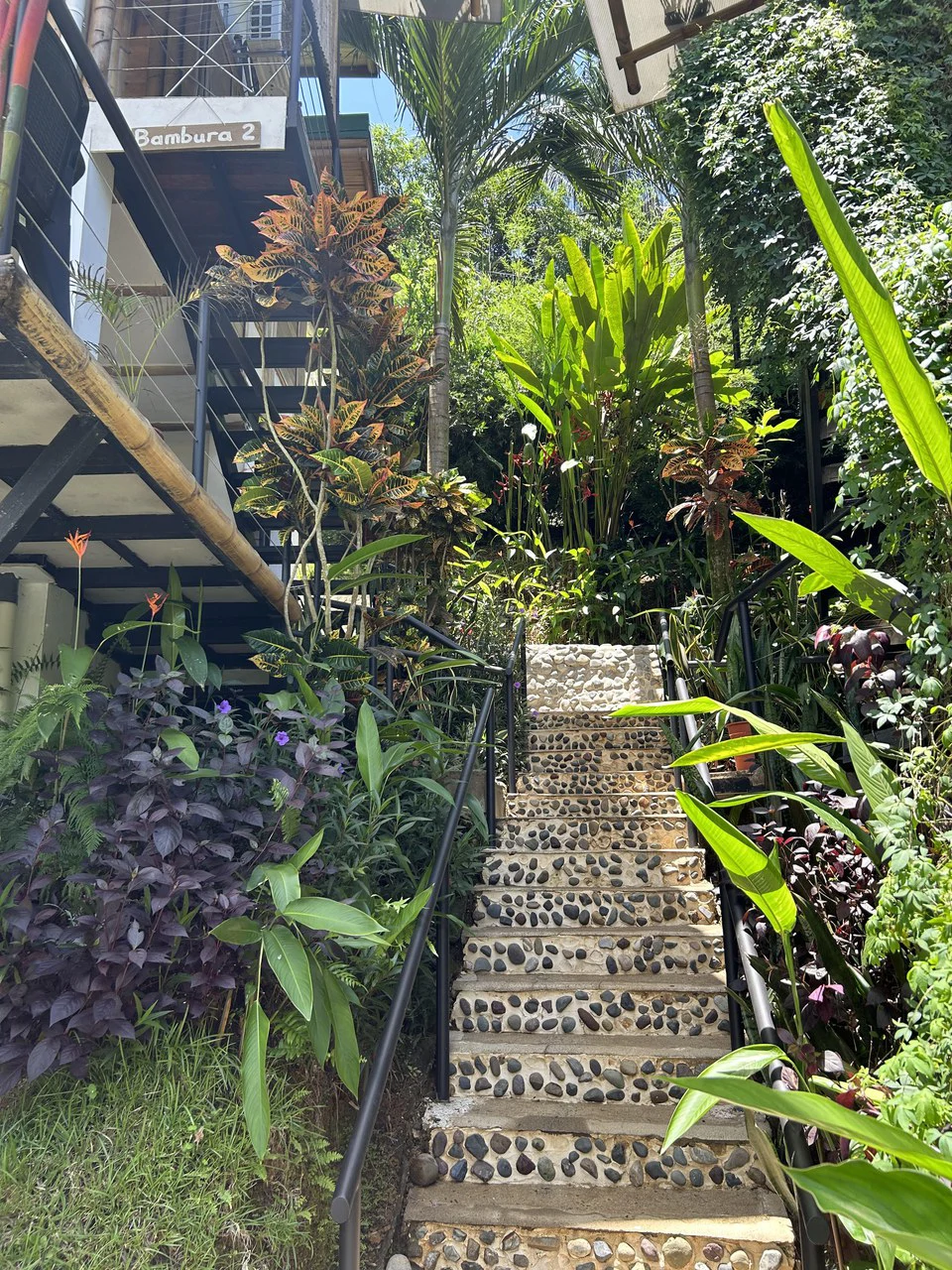 Cabinas Bambura: Cabinas Bambura: Successful Airbnb Business with Stunning Mountain & Jungle View - Gallery image 13