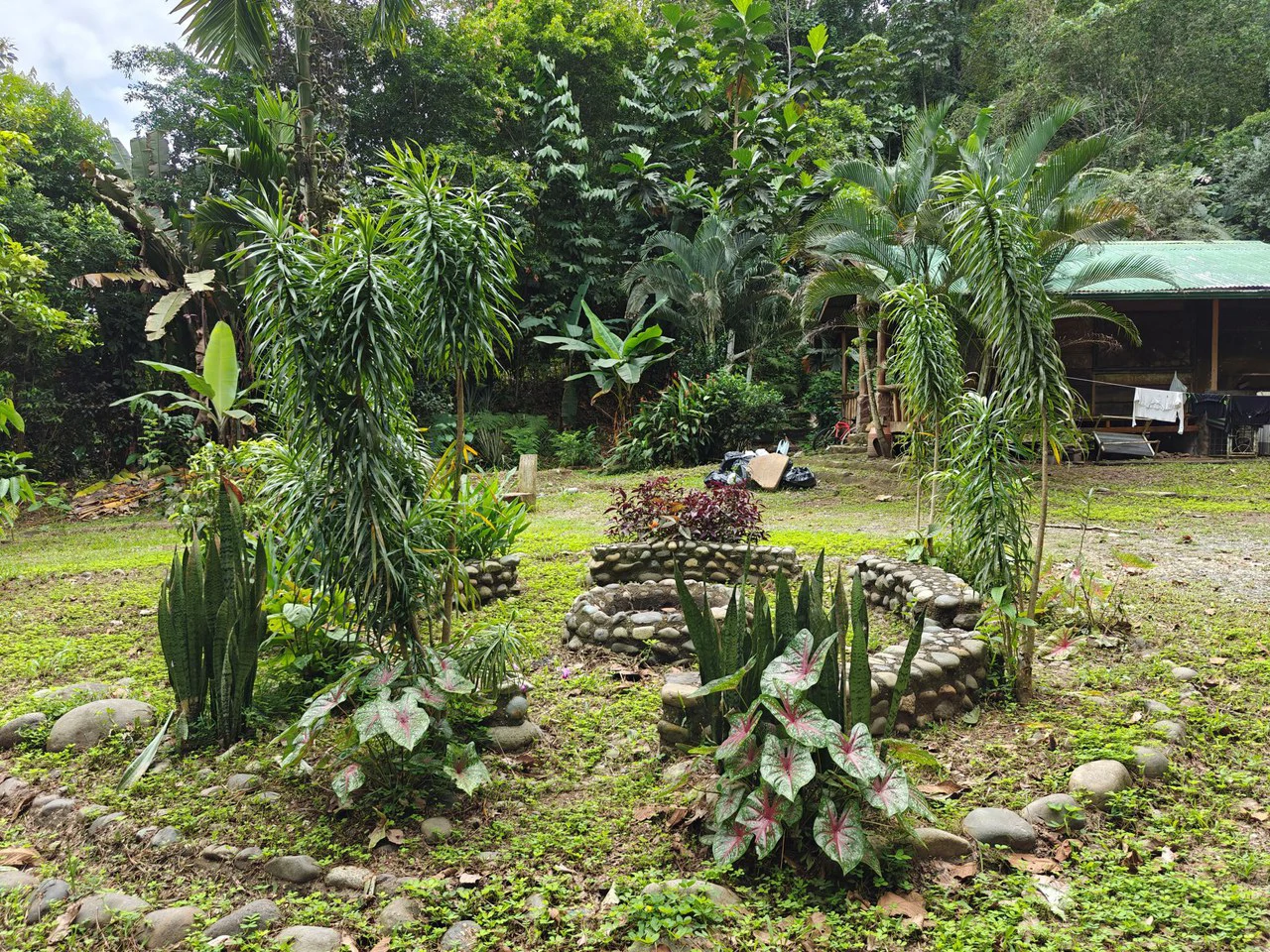 Mountain-Edge Sanctuary with Private Waterfall: 3 Titled Jungle Lots with Platforms, Waterfall, and Income Potential - Gallery image 8
