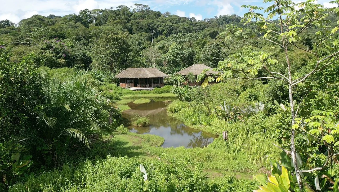 60 Acre Fully Sustainable and Impactful Conservation Initiative Near Golfito: Mountain Multi Unit Building For Sale in Golfito - Gallery image 9