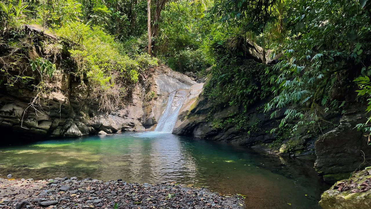 FINCA CERRO DEL TIGRE! OVER 20 ACRES OF PRIMARY FOREST AND WATERFALLS.: Mountain Agricultural Land For Sale in La Unión - Gallery image 10