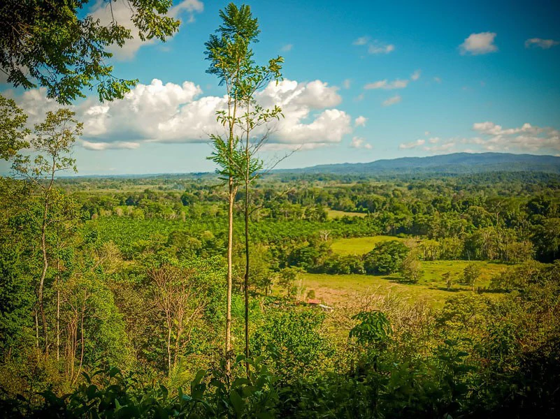 Ocean View & Primary forest 55-ha Rincon de Osa - Gallery image 17