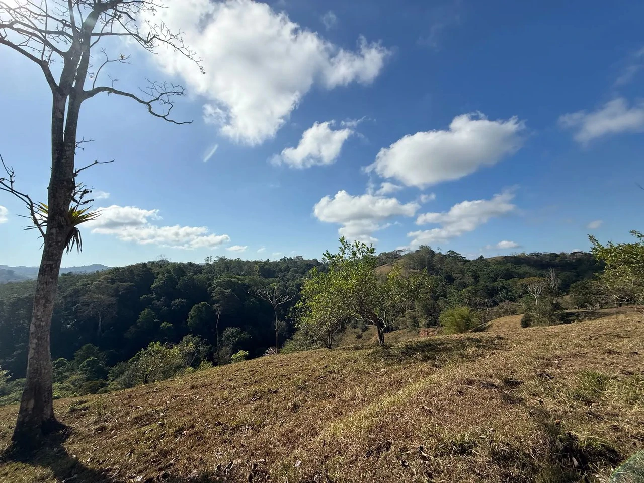 11.4 Hectare Mountain Estate: Lush Forest, River & Farm Potential in Arenal Puriscal , San Jose - Gallery image 8