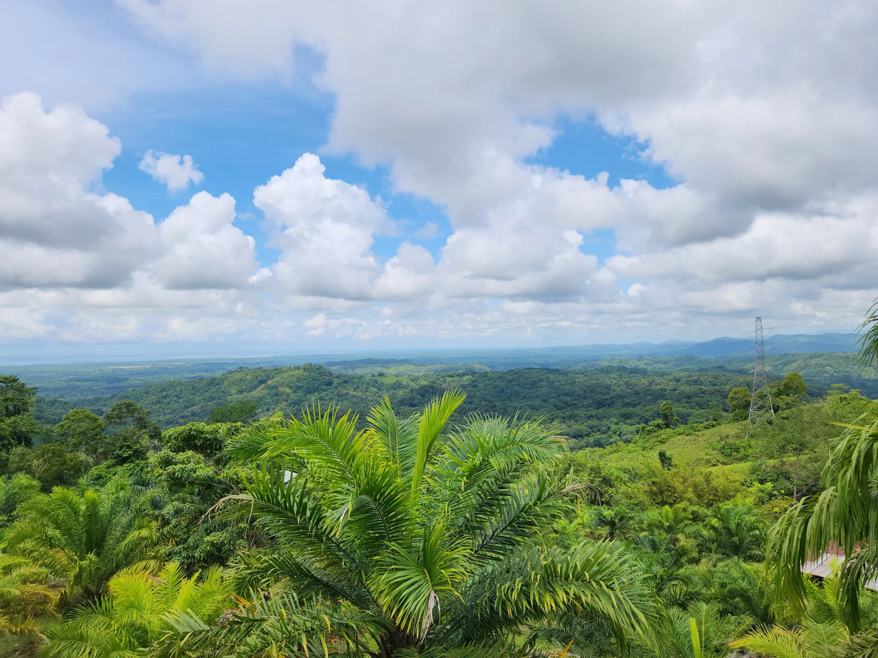PRIME PARRITA FARM FOR SALE - Gallery image 15