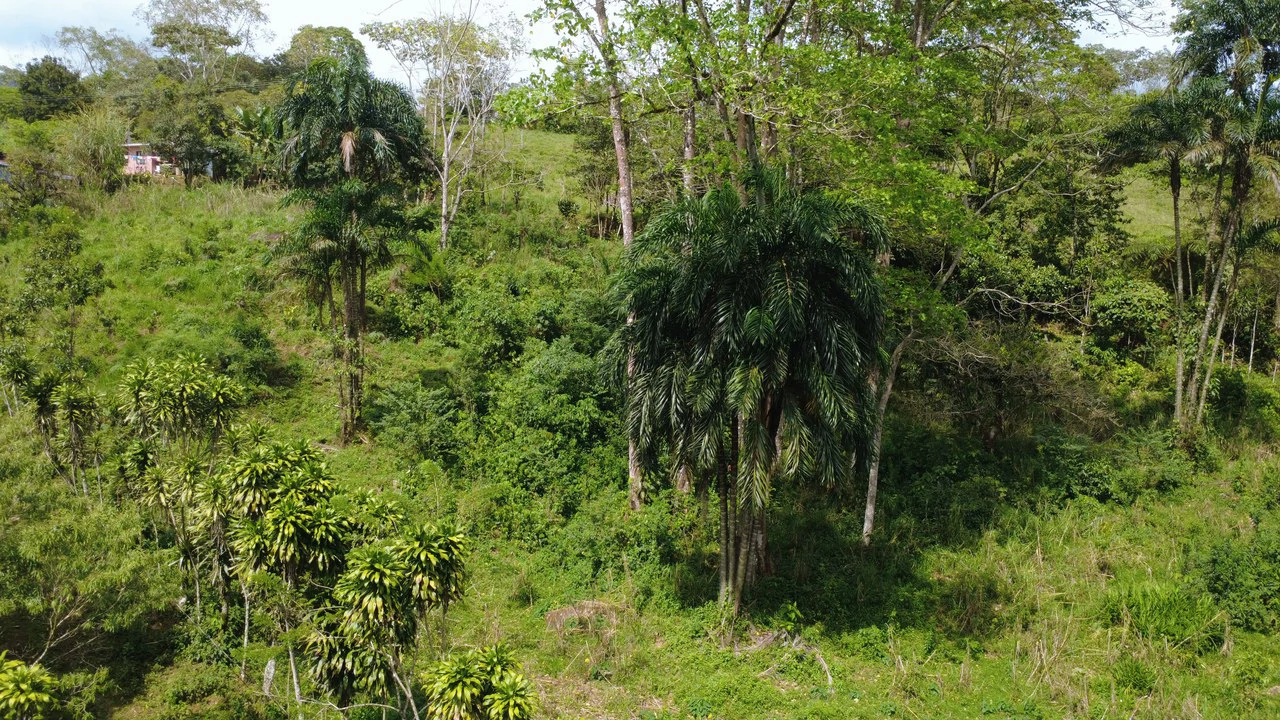 Home Construction Site For Sale in Centro de Pérez Zeledón - Gallery image 9