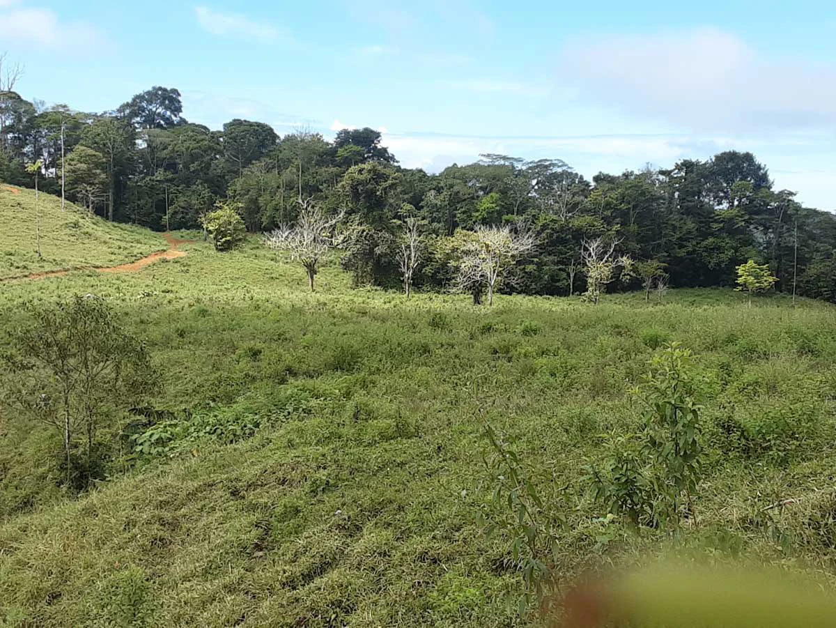 Finca Tesoro Escondido - The Jewel of Uvita - Gallery image 56