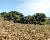 Land for development 10 hectares - Gallery image 4