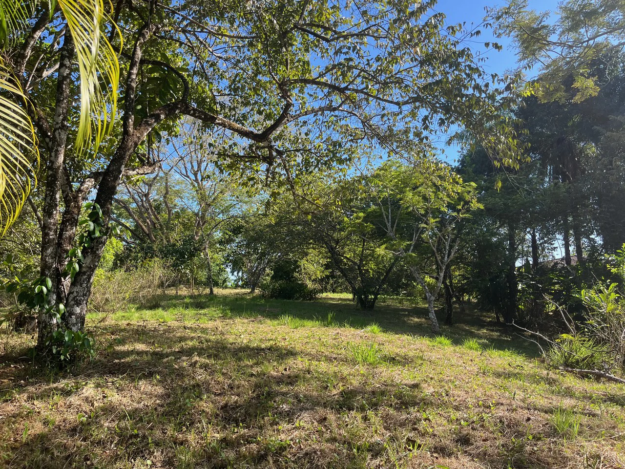 4000m2 Ready to Build Lot in Delicias: Partial Ocean Views in Great Neighorhood - Gallery image 2