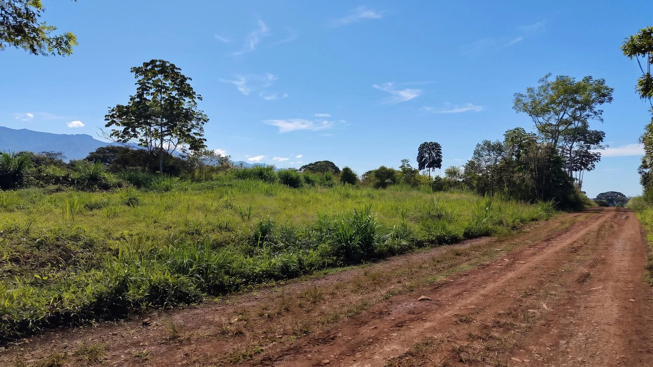Home Construction Site For Sale in El Pilar - photo 12