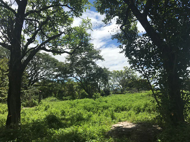 Large Development Land for Sale in Liberia, Guanacaste, Costa Rica - Gallery image 22