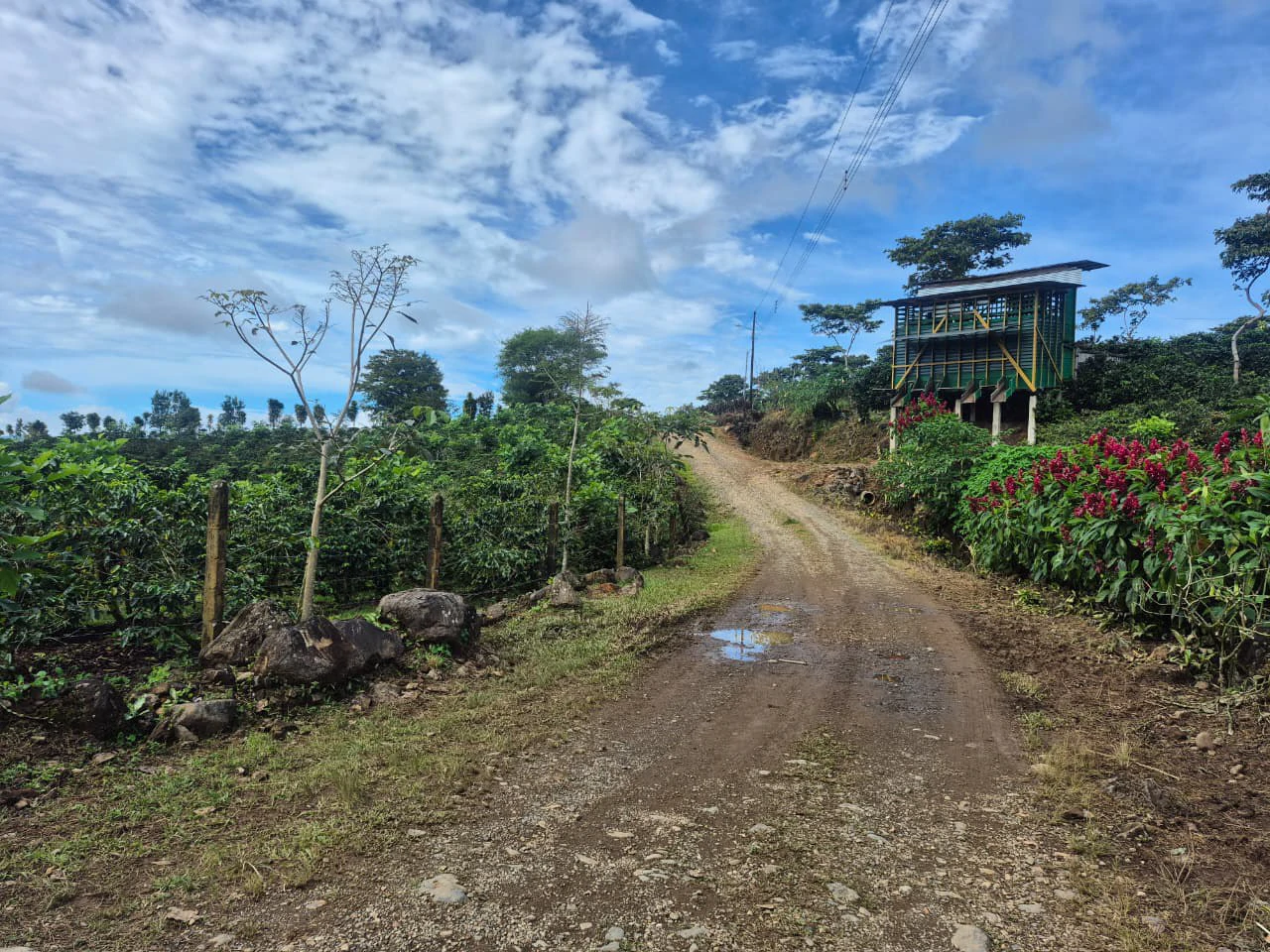 Countryside Agricultural Land For Sale in Santa Elena de San Isidro - Gallery image 19