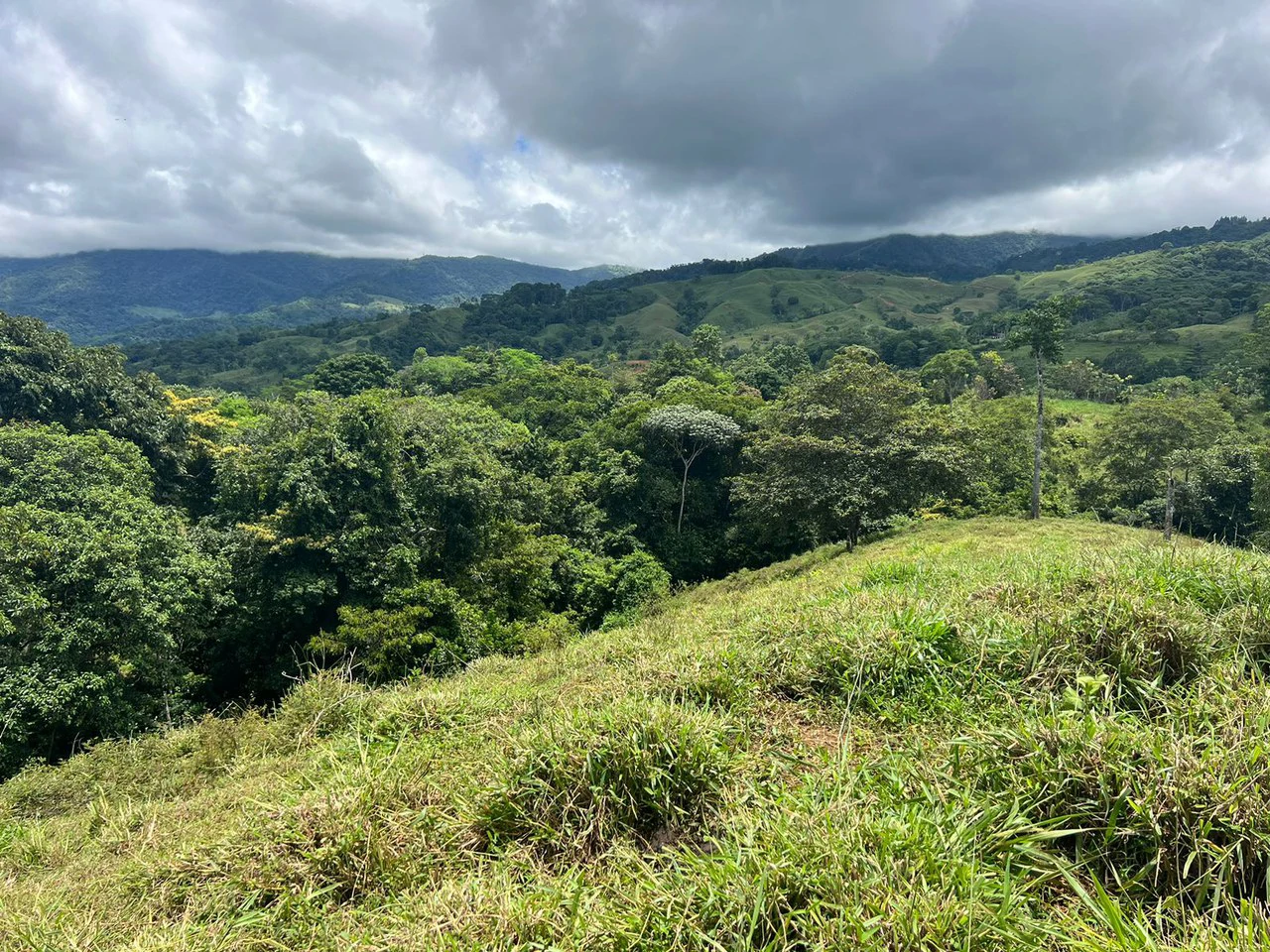 47 ACRES – Beautiful Mountain View Farm With Many Water Sources and Many Building Areas!!!! - Gallery image 3