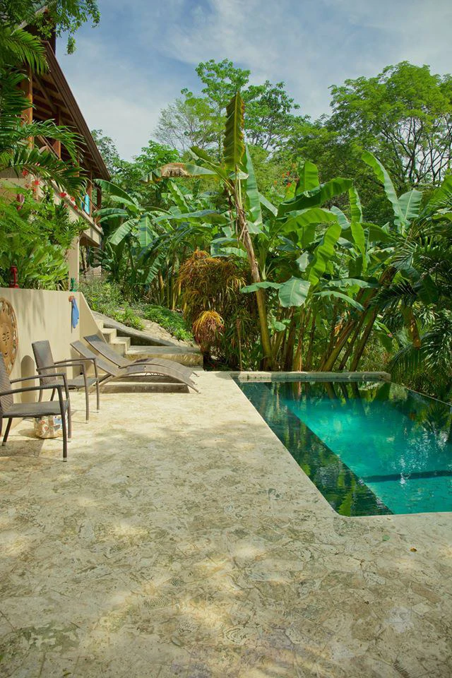 Property with 3 homes and pool: Tropical Gardens steps to the Beach in Mal País and minutes to Santa Teresa - Gallery image 2