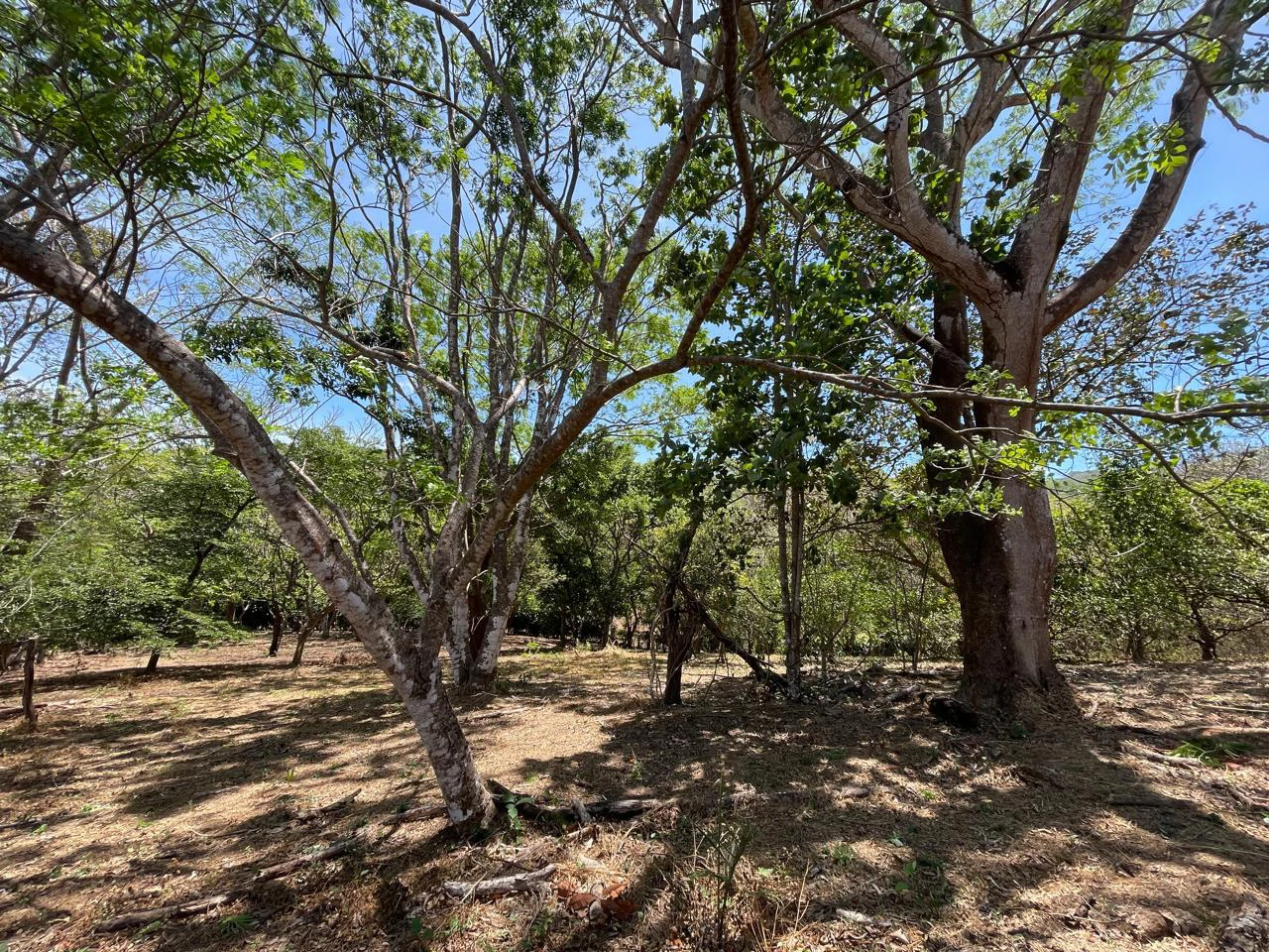 Ocean view property for sale Rodeo Ciudad Colon San Jose Costa Rica - Gallery image 18