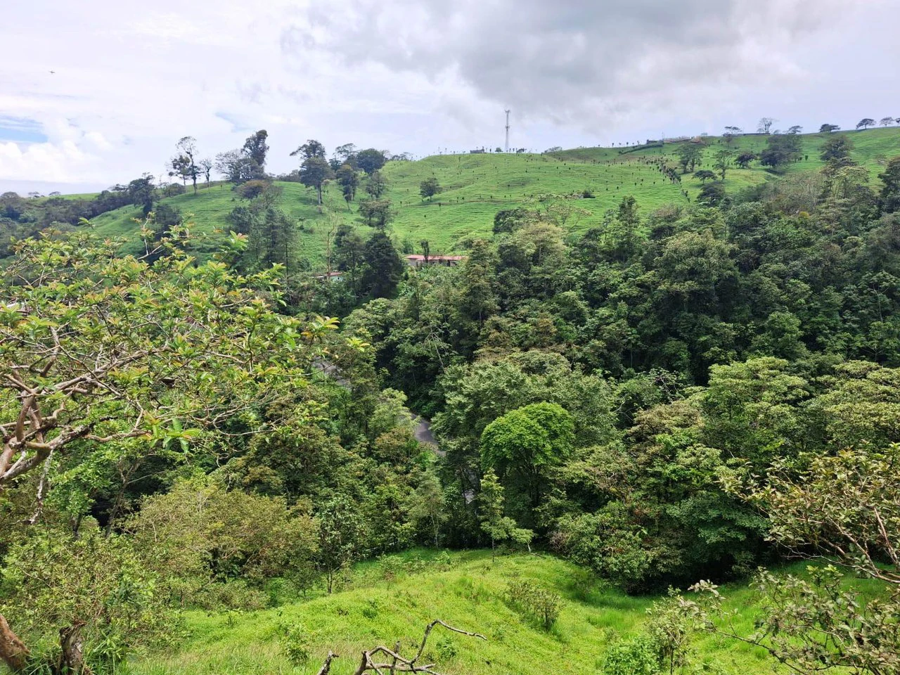 INVESTOR & DEVELOPER ALERT: High-Visibility Investment Property in the Heart of Tourist-Friendly Zarcero - Gallery image 16