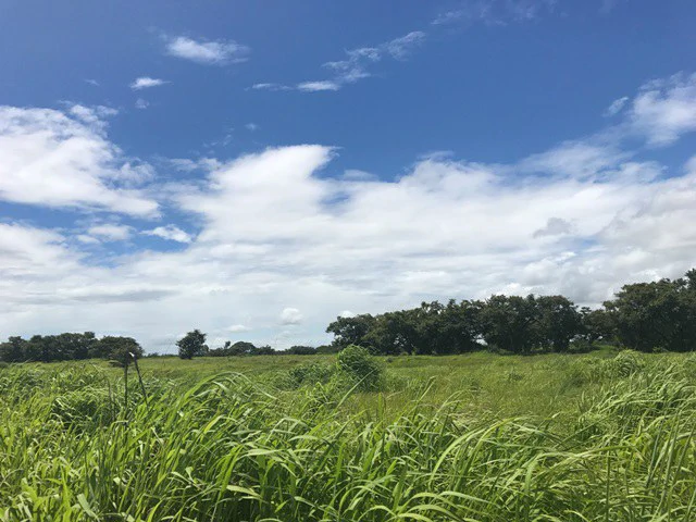 Large Development Land for Sale in Liberia, Guanacaste, Costa Rica - Gallery image 27