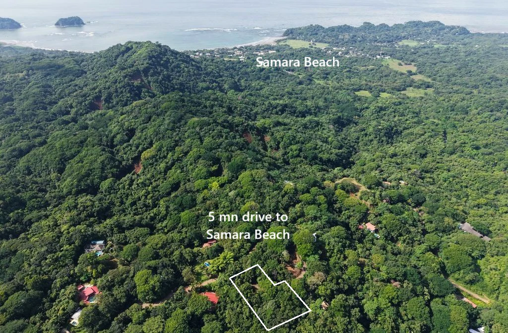 LOTE 29 SAMARA WOODS: New Price Drop ! Last Beautiful Lot With Jungle Views in quiet Samara Woods community – 5 minutes from Samara Samara - Samara Woods Exclusivity