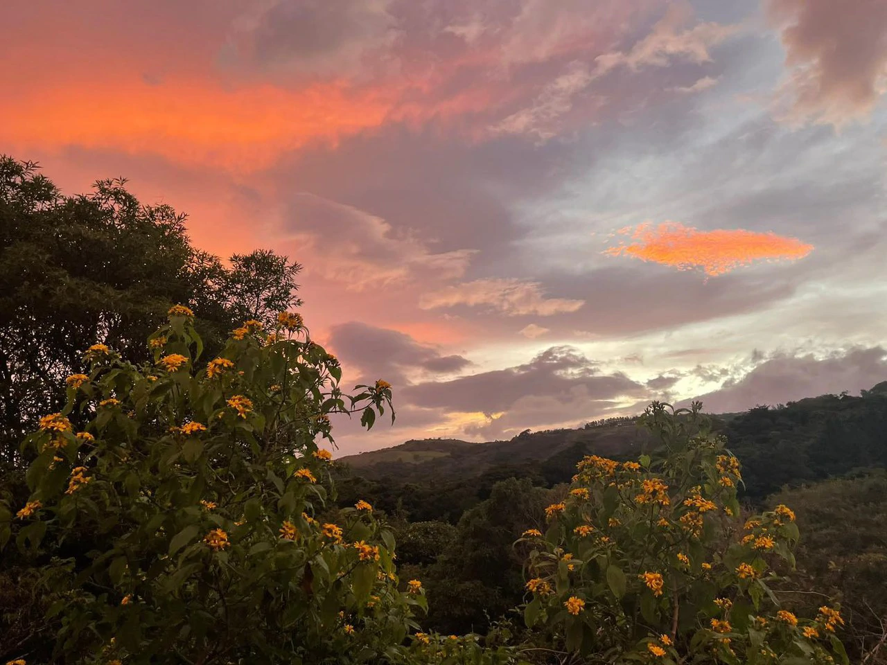 2 Acres with 4 houses Centrally located in Monteverde BV0224: Turn-Key Accommodations Business on 2 Acres Just 5 Minutes from Santa Elena – Surrounded by Nature, Ready to Grow - Gallery image 3