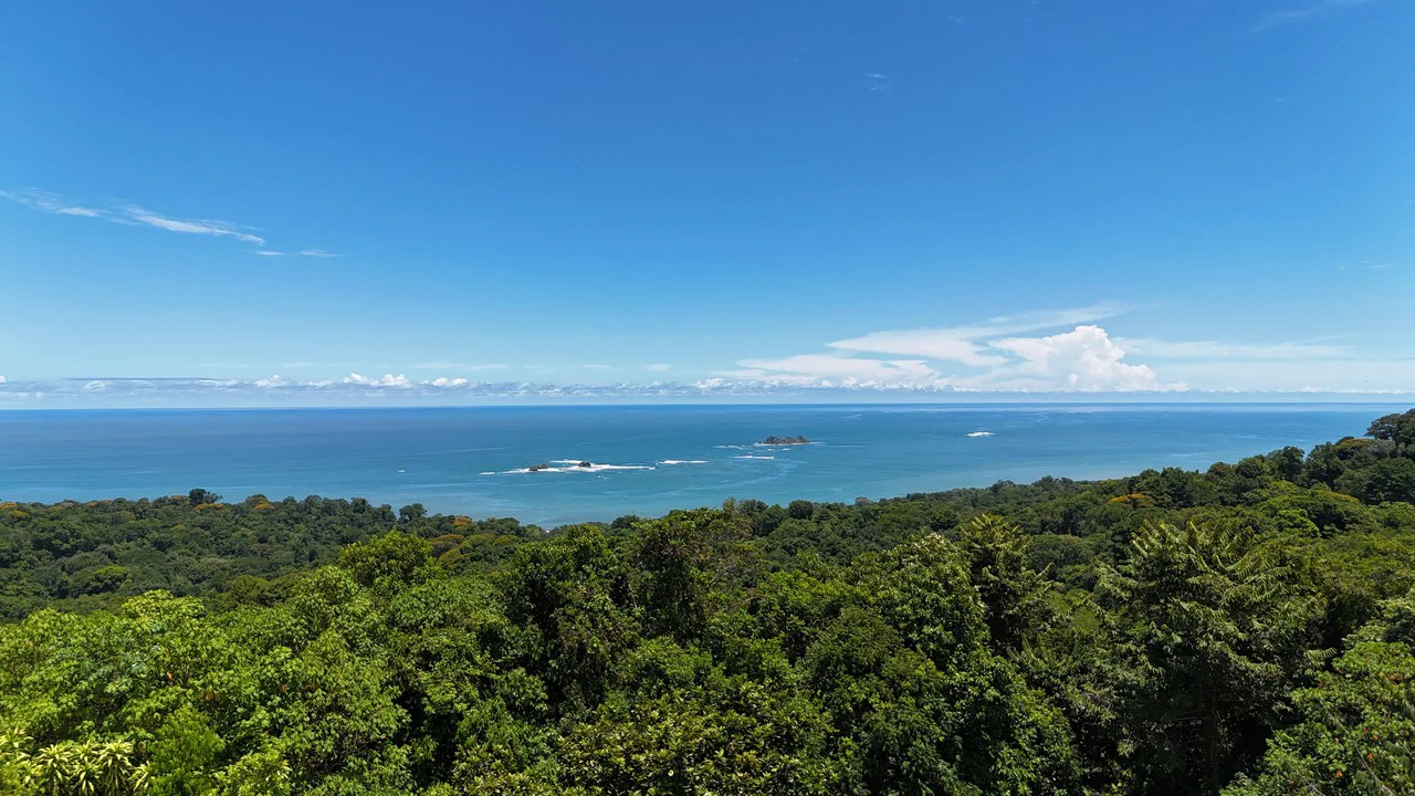 Stunning Ocean View Property with Luxury Pre-construction Home waiting to be Customized - Gallery image 9