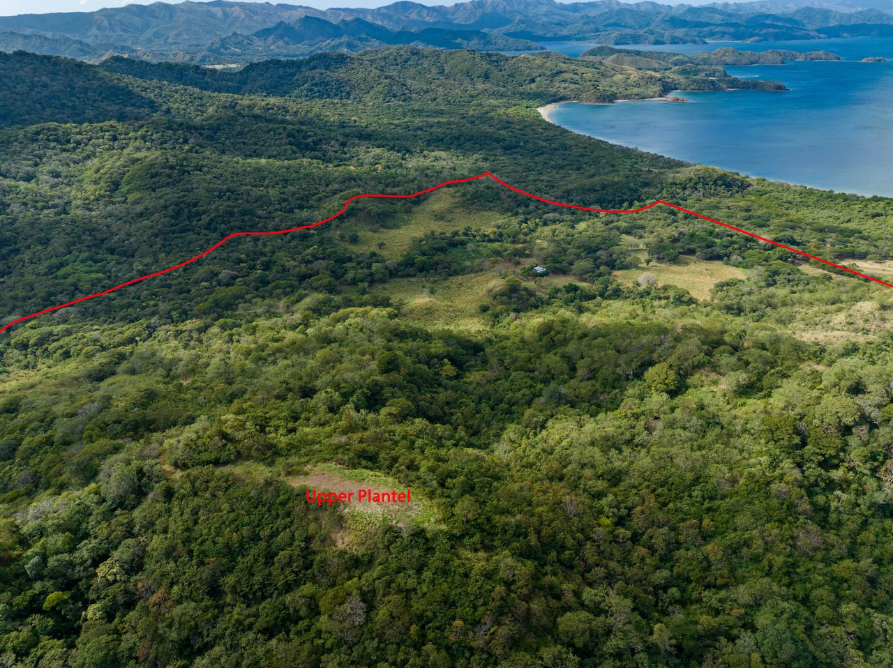 220 Acres Beachside Farm with Ocean View at Playa Junquillal in Guanacaste - Gallery image 28