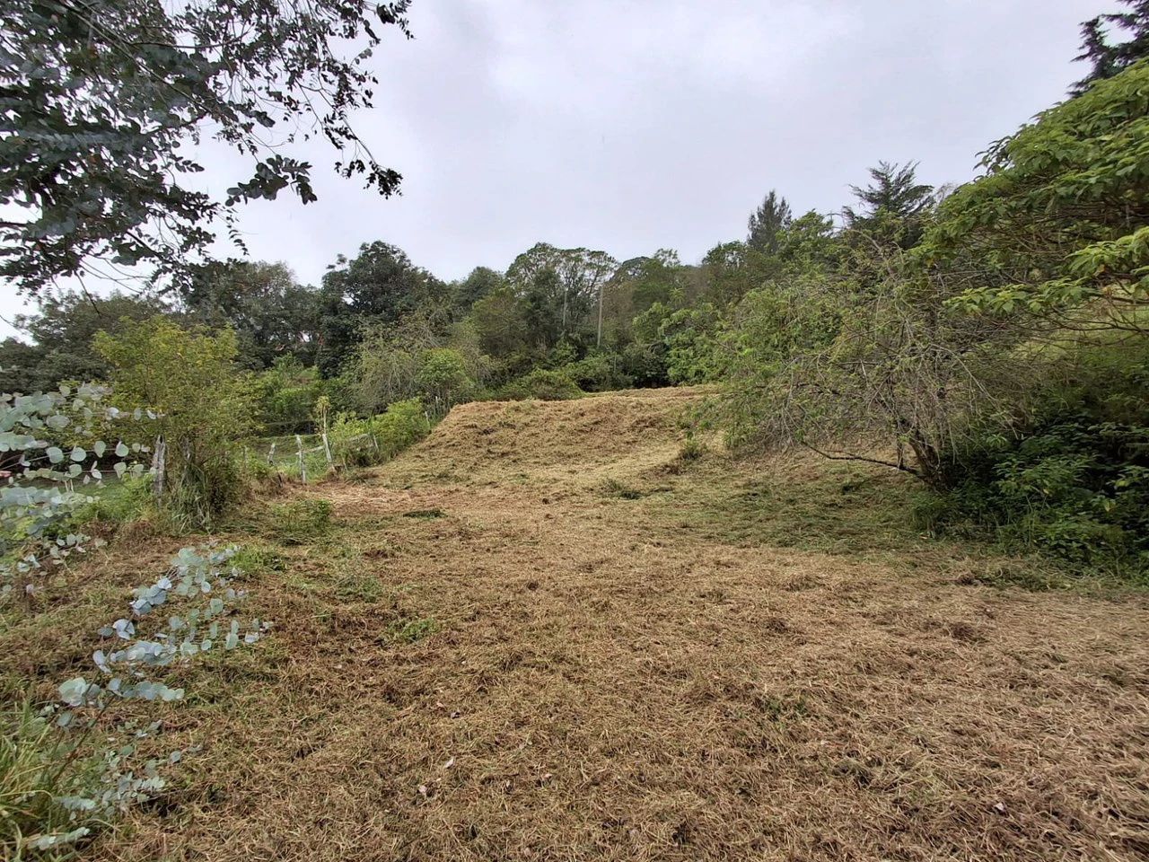 Santa Barbara Gem: Prestigious Residential Lot in an Elite Enclave! - Gallery image 7