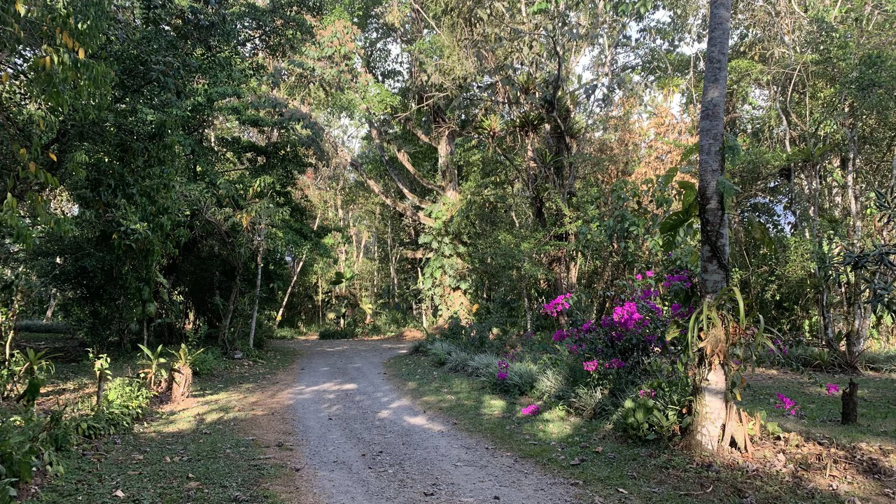 Talari Hotel: Nature and Bird Lover's Paradise - Mountain Lodge - Gallery image 32