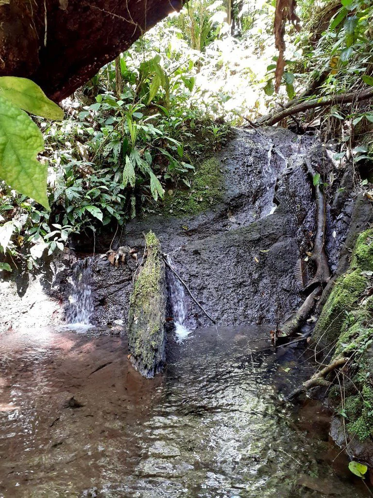 SECLUDED PARADISE WITH STUNNING VIEWS, WATERFALLS & ABUNDANT WILDLIFE - Gallery image 42
