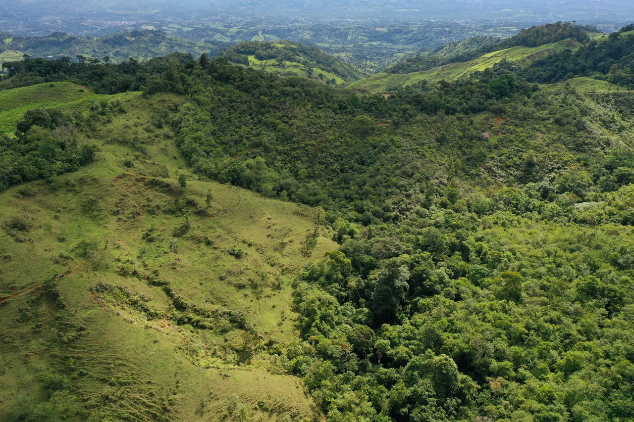 47 Acre Off Grid Ranch with Ocean & Mountain Views San Lorenzo Perez Zeledón - Gallery image 13