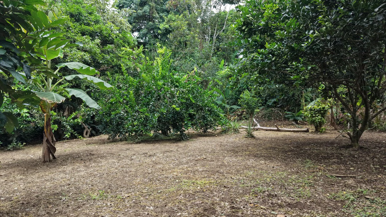 Home Construction Site For Sale in Daniel Flores - photo 6