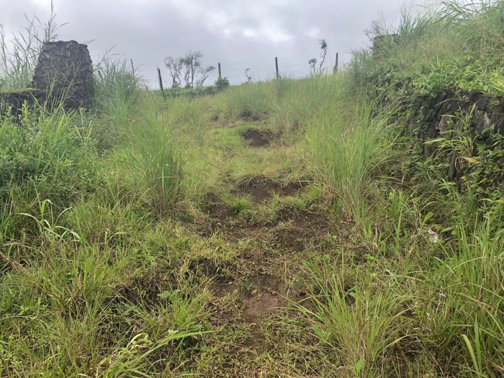 Lot with High Development Potential in Bijagua, Valle de Miravalles, Costa Rica - Gallery image 11