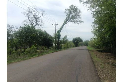 Commercial land in Guanacaste 0.87ha : 900701029-120 - Gallery image 4
