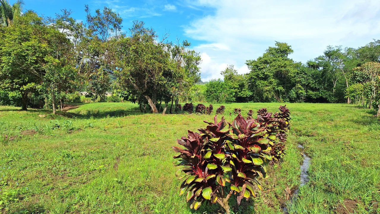 SUSTAINABLE PROPERTY FOR SALE IN THE PRIVACY OF PÉREZ ZELEDÓN, ROSARIO DE PACUAR - Gallery image 2