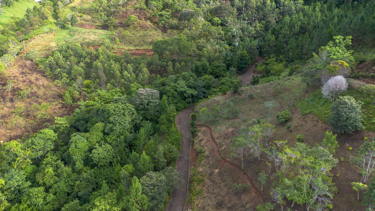 10.21 Acres with Views & Plantels – Pérez Zeledón - Gallery image 22