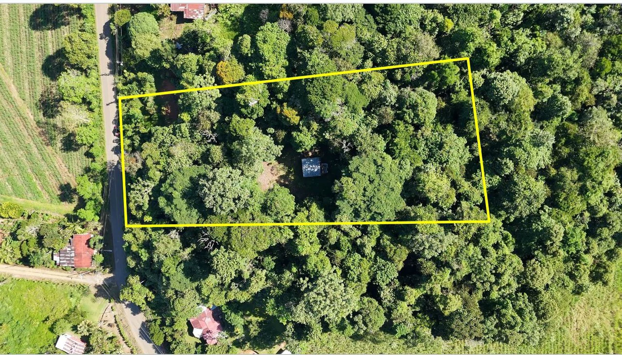 LOTE EN PEÑAS BLANCAS: Mountain Home Construction Site For Sale in El General