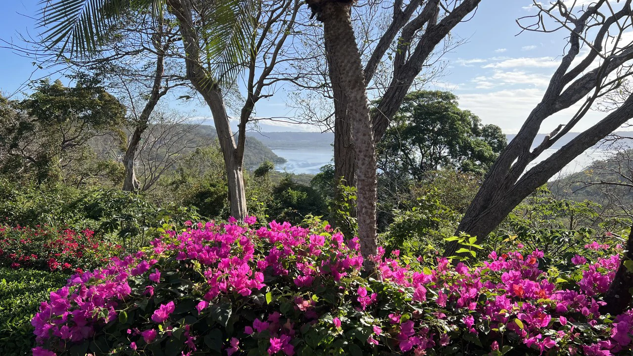 A Masterpiece of Luxury at Peninsula Papagayo - Gallery image 3